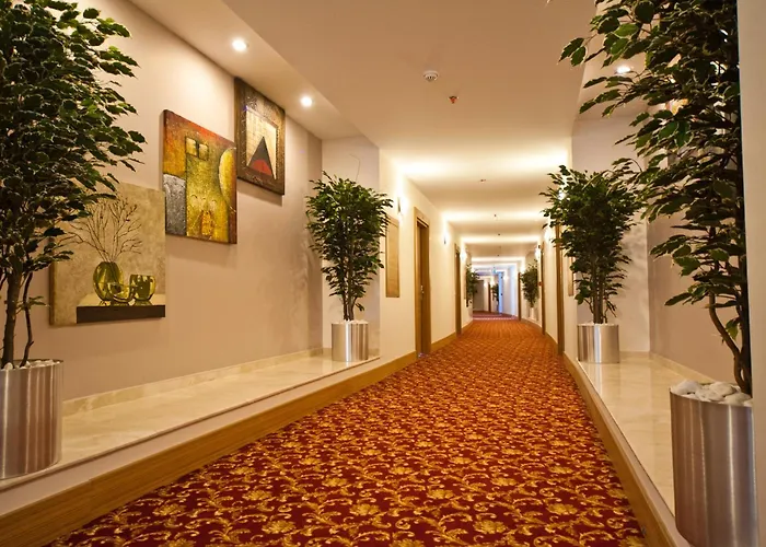 Ekinci Residence